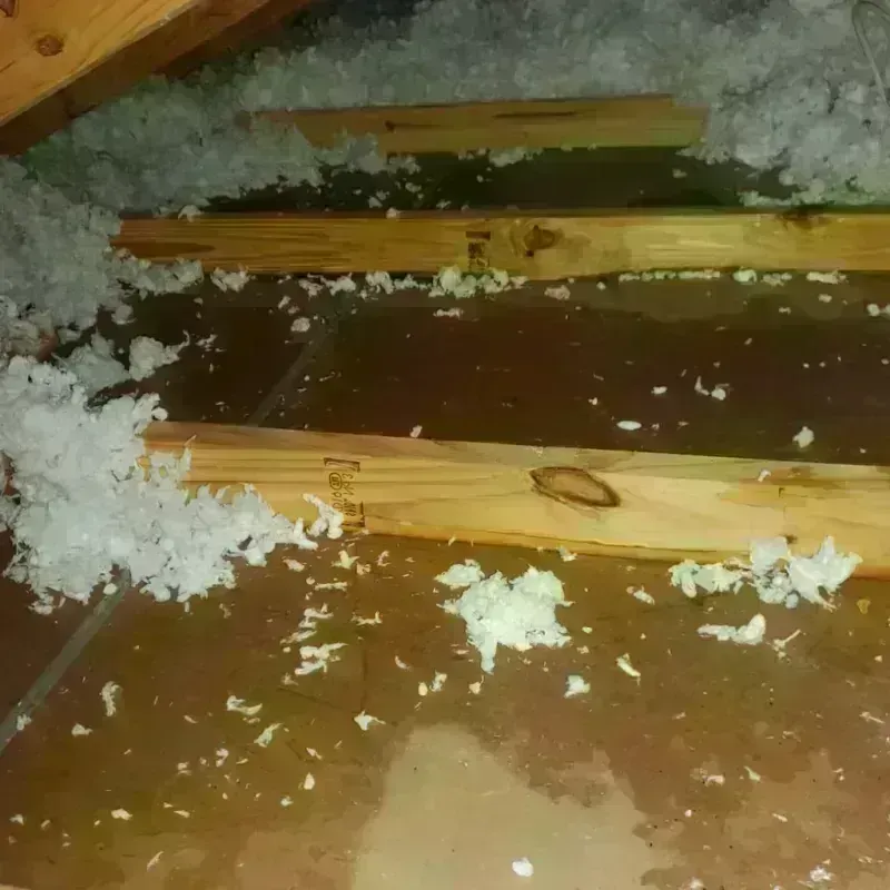 Attic Water Damage in Apex, NC