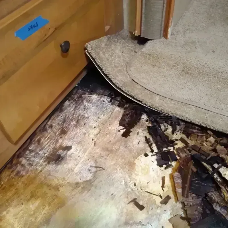 Wood Floor Water Damage in Apex, NC